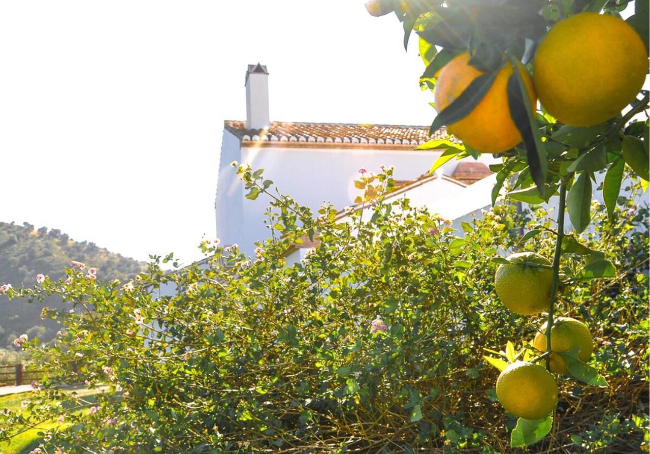 Cortijo Las Caballerias Алора Екстер'єр фото