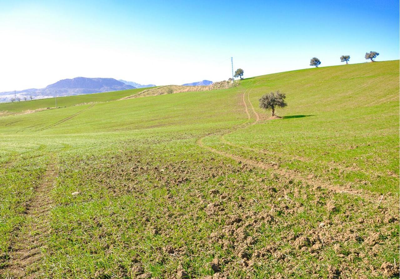 Cortijo Las Caballerias Алора Екстер'єр фото